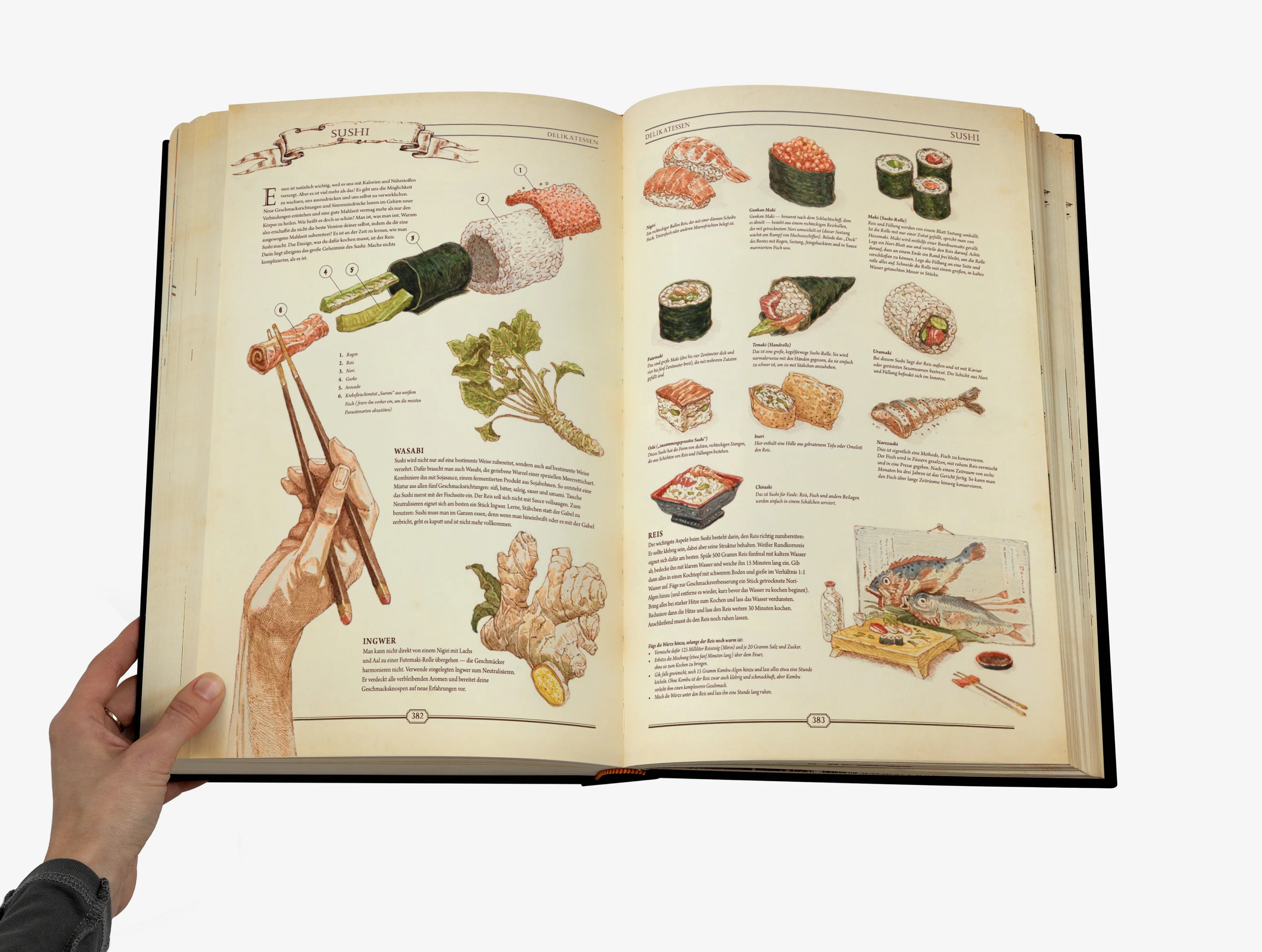 The Book in einer Geschenkbox. Der ultimative Wegweiser zum Wiederaufbau einer Zivilisation. Deutsche Version. - Image 3