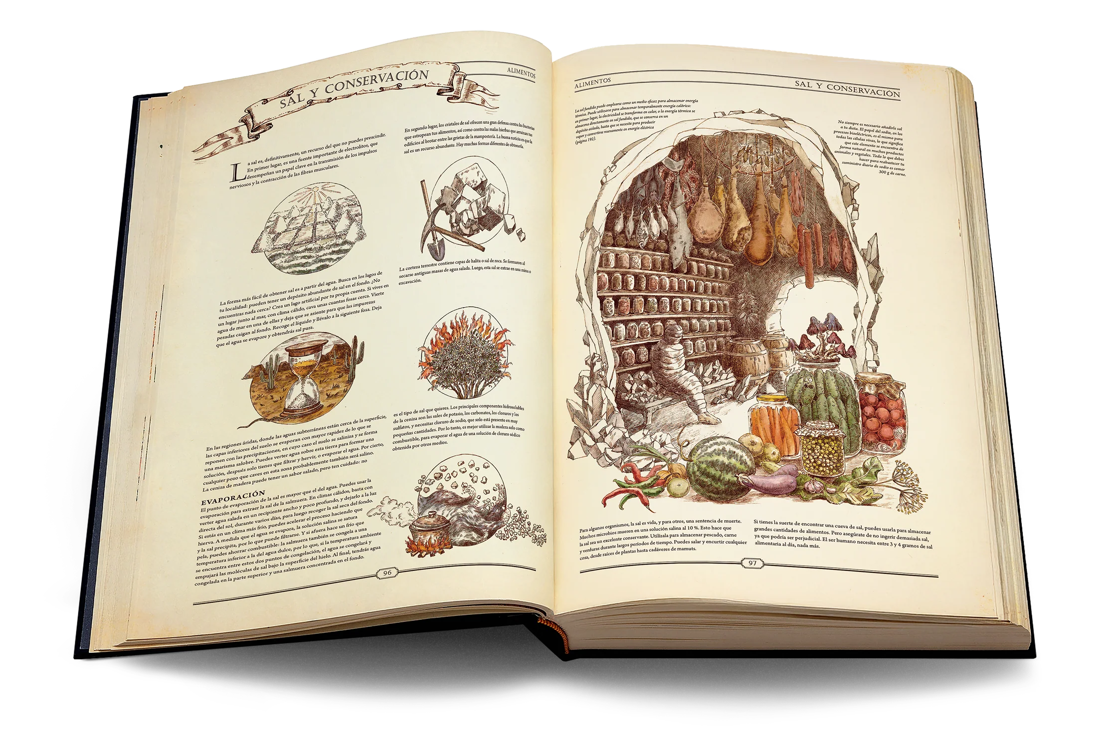 The Book. The Ultimate Guide to Rebuilding Civilization. Spanish Version - Image 6